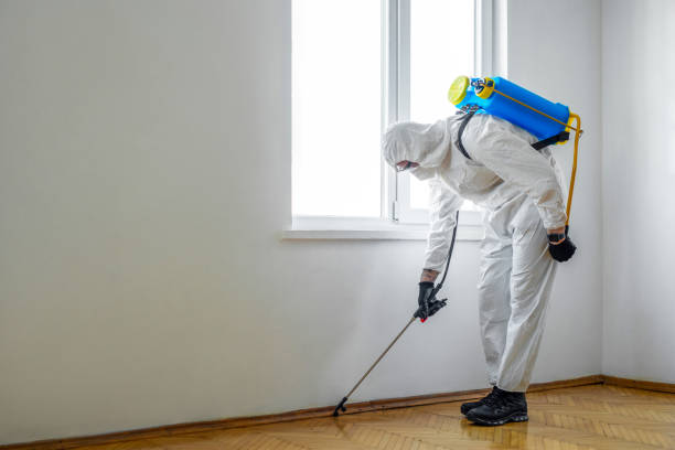 Pest Control for Warehouses in Irondale, AL